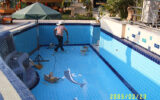 swimming pool contractors