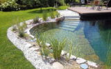natural swimming-pools