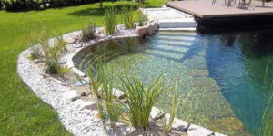 natural swimming-pools